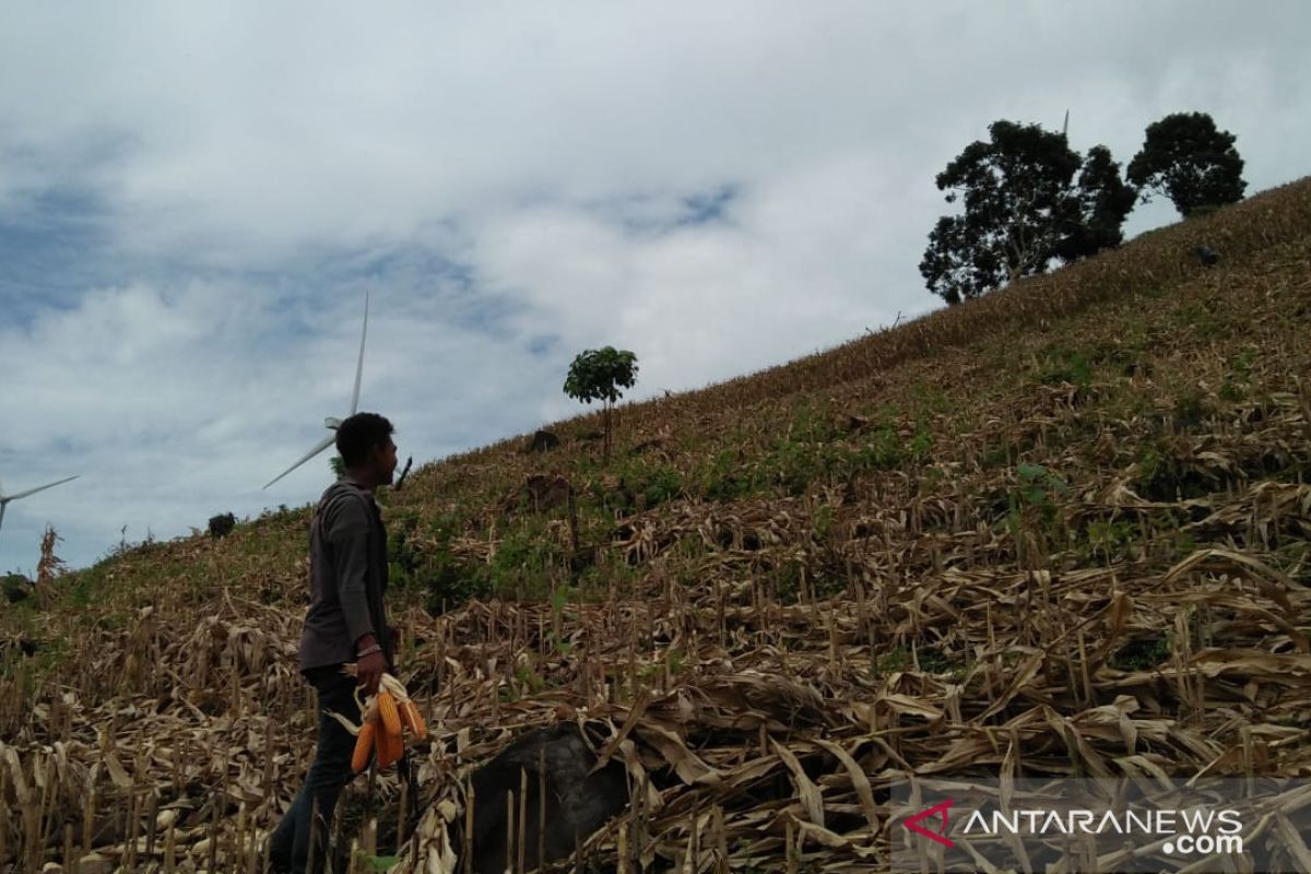 Hidup lebih layak di balik kincir energi baru terbarukan