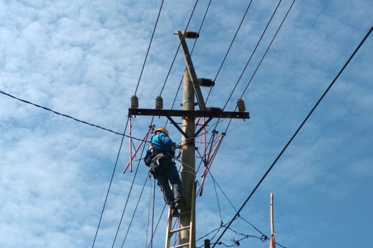 PLN gerak cepat pulihkan kelistrikan Bengkulu terdampak gempa