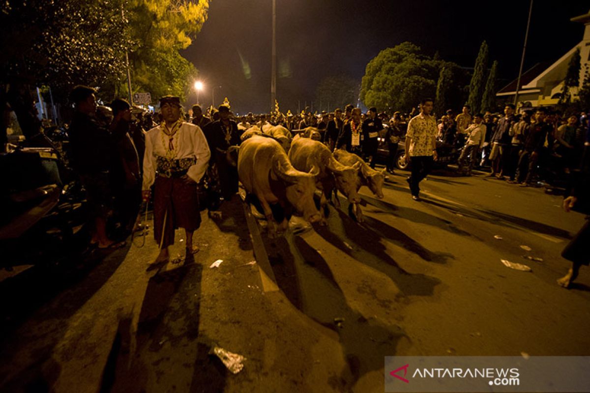 Pura Mangkunegaran Surakarta tiadakan Kirab Malam Satu Sura