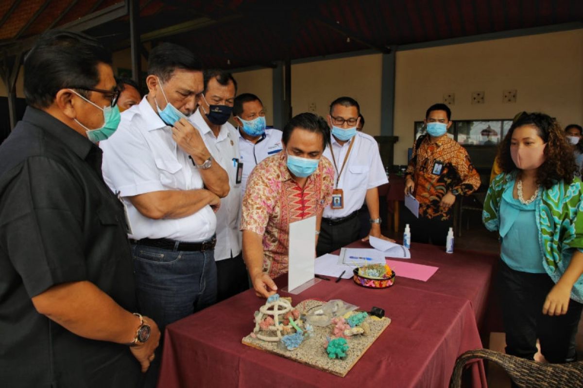 Luhut ajak generasi milenial restorasi terumbu karang