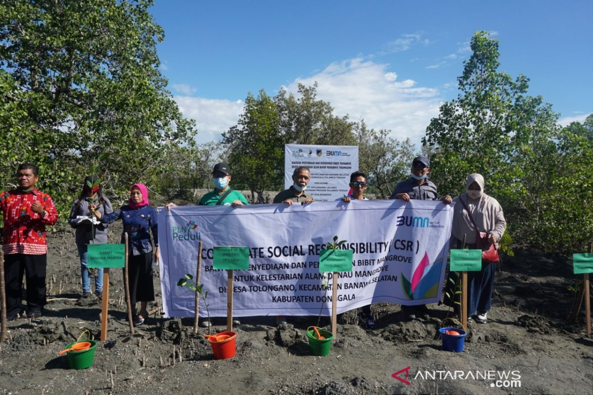 PLN peduli restorasi kawasan ekowisata mangrove