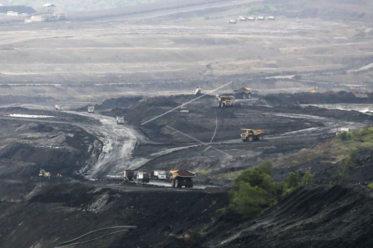 Ekspor batu bara Sumsel coba  pasar baru Korea Selatan