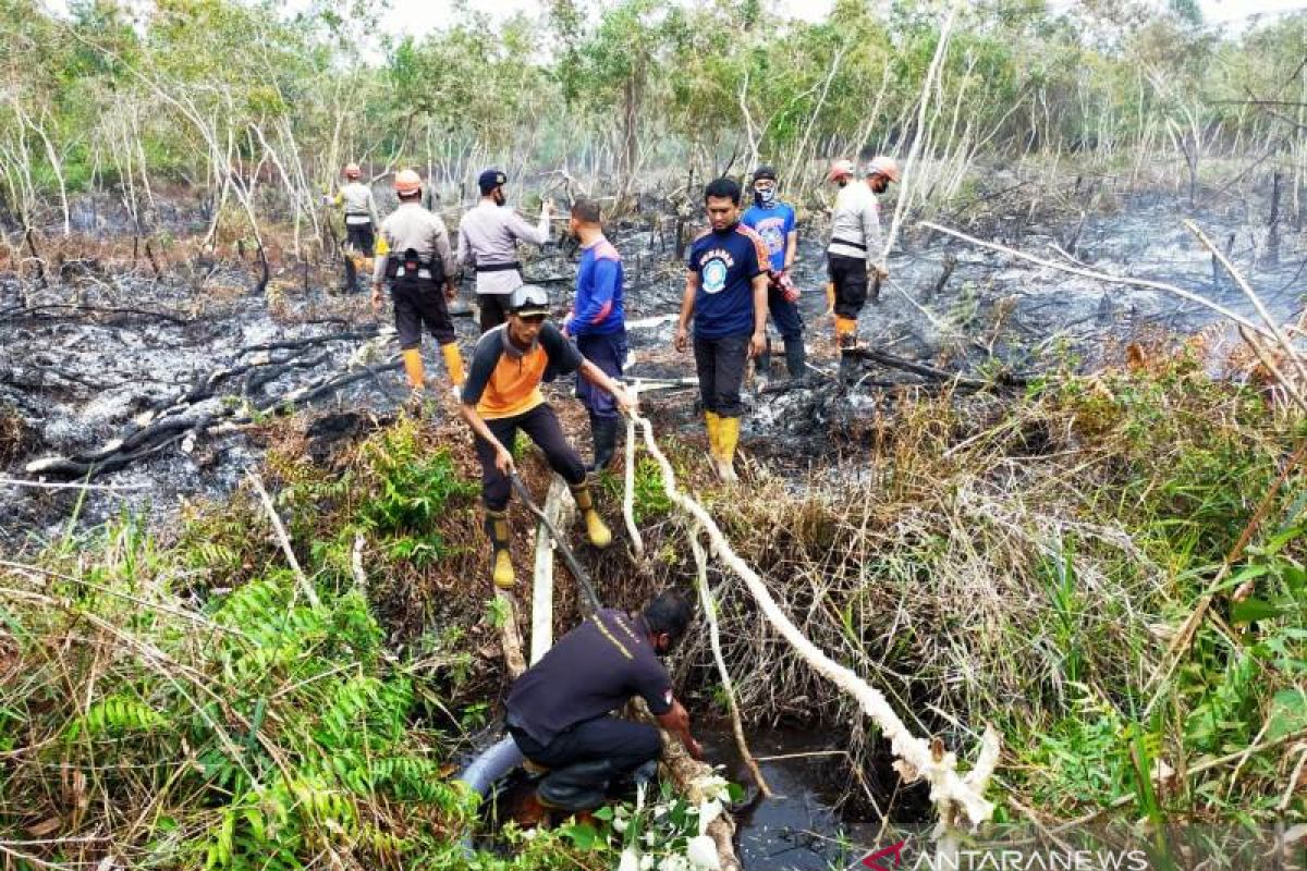 Kebakaran lahan di Aceh Barat meluas ke kecamatan Johan Pahlawan