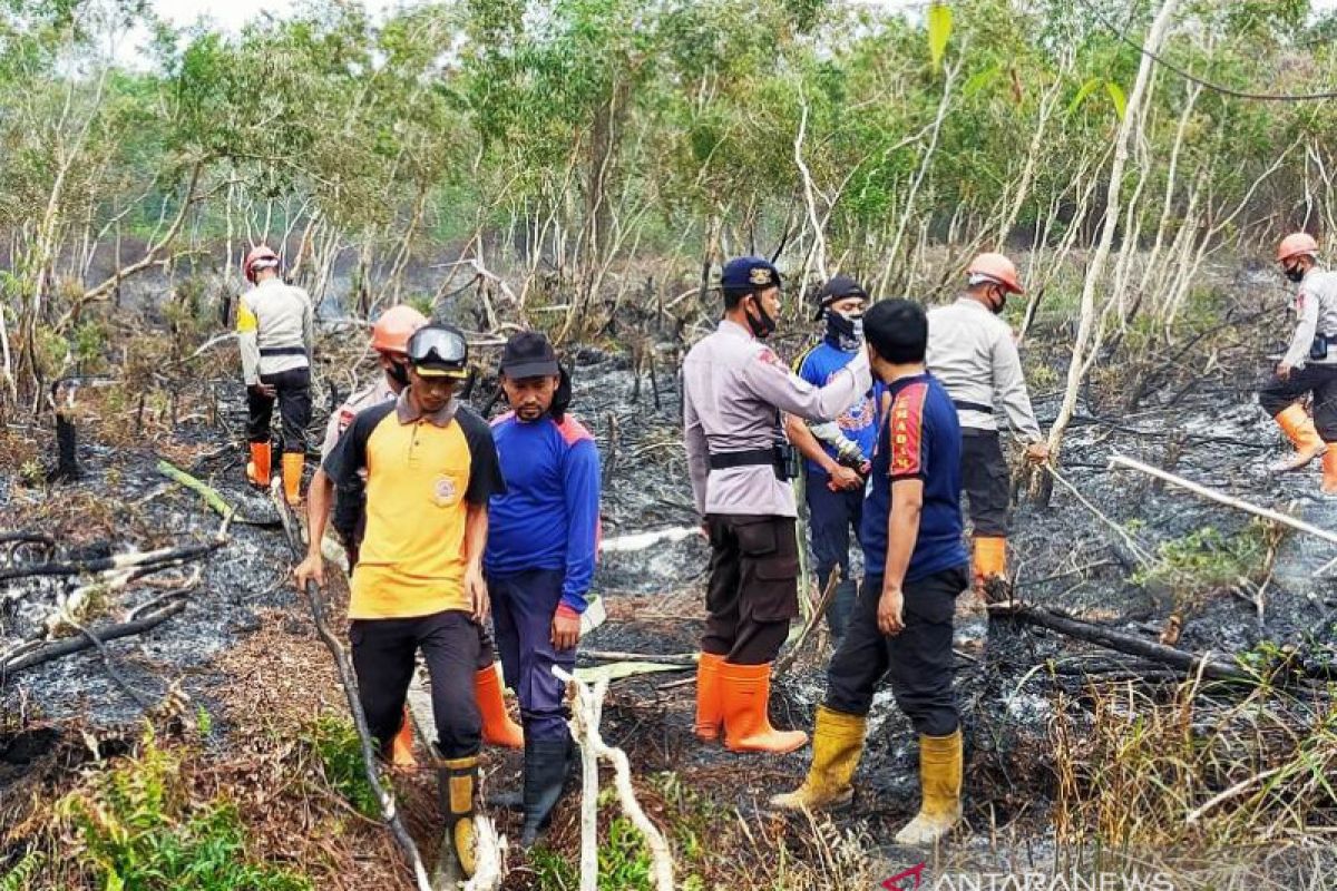 Efforts on to put out wildfires in West Aceh