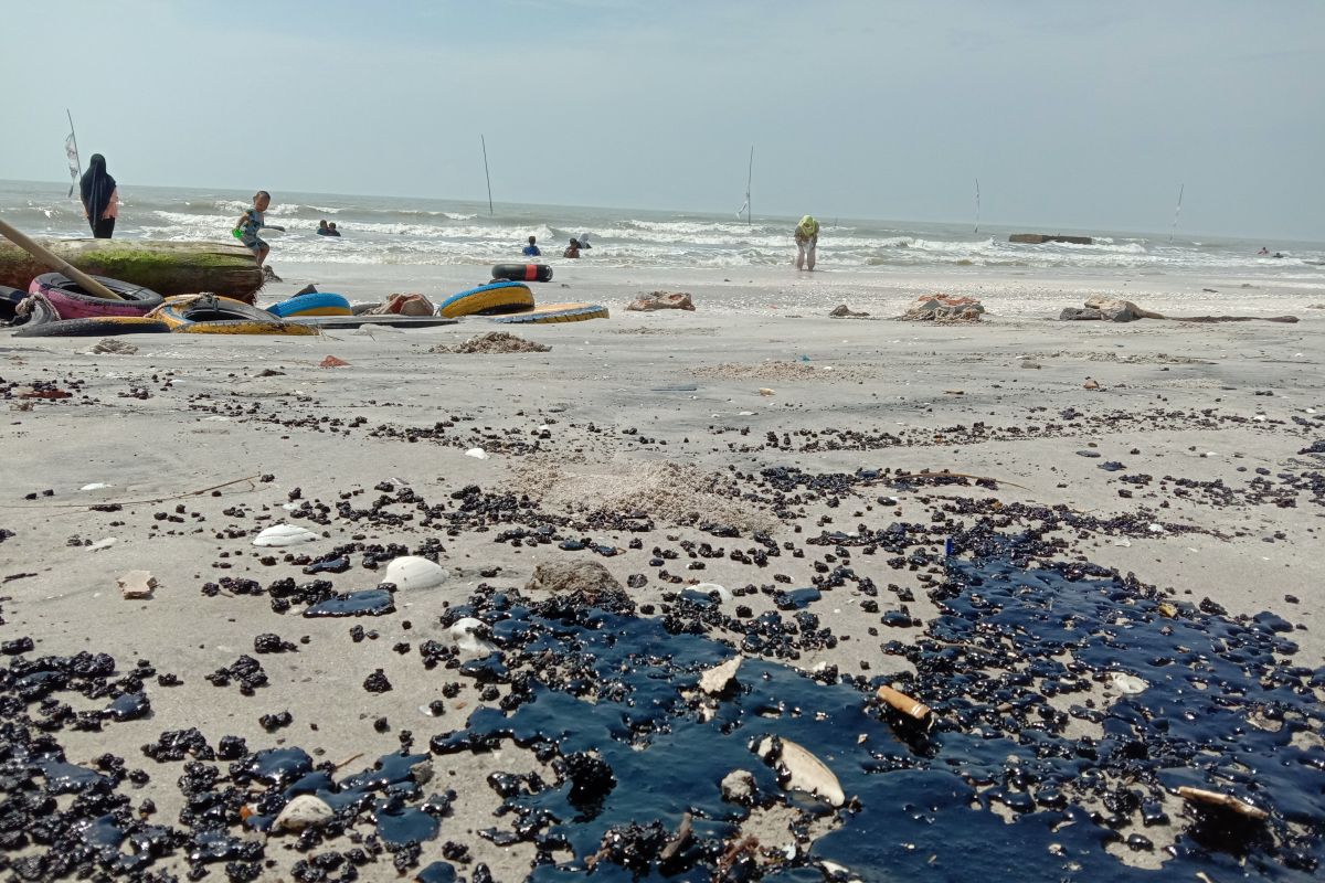DInas Lingkungan Hidup: Limbah yang mencemari pantai Lampung Timur beracun dan berbahaya
