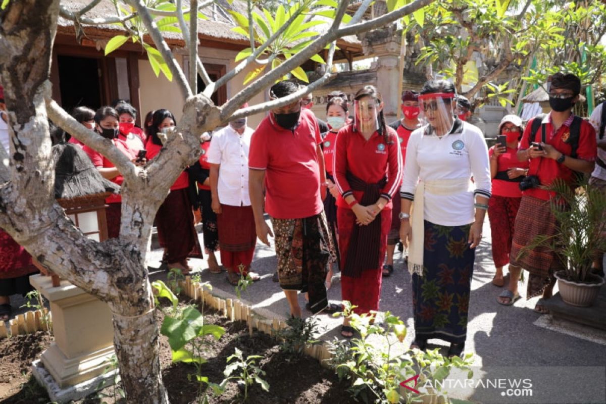 Di Gianyar, Putri Koster resmikan Rumah Kreatif dan Taman 