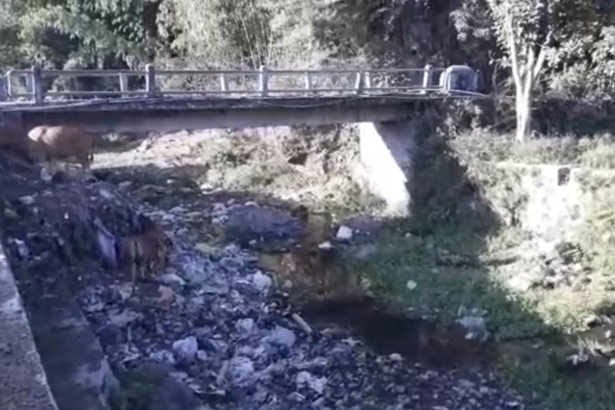 Sungai sampah di kaki Gunung Rinjani