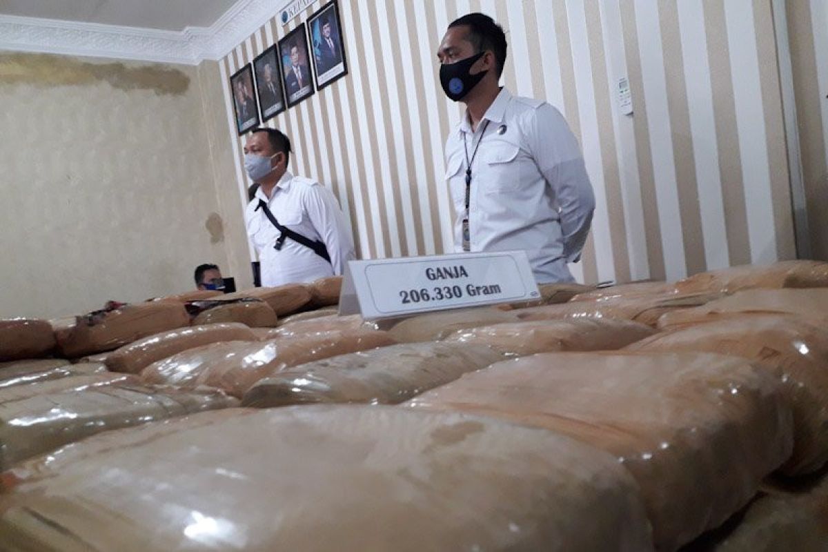 BNNP Lampung tangkap empat tersangka pengedar 200 paket besar ganja