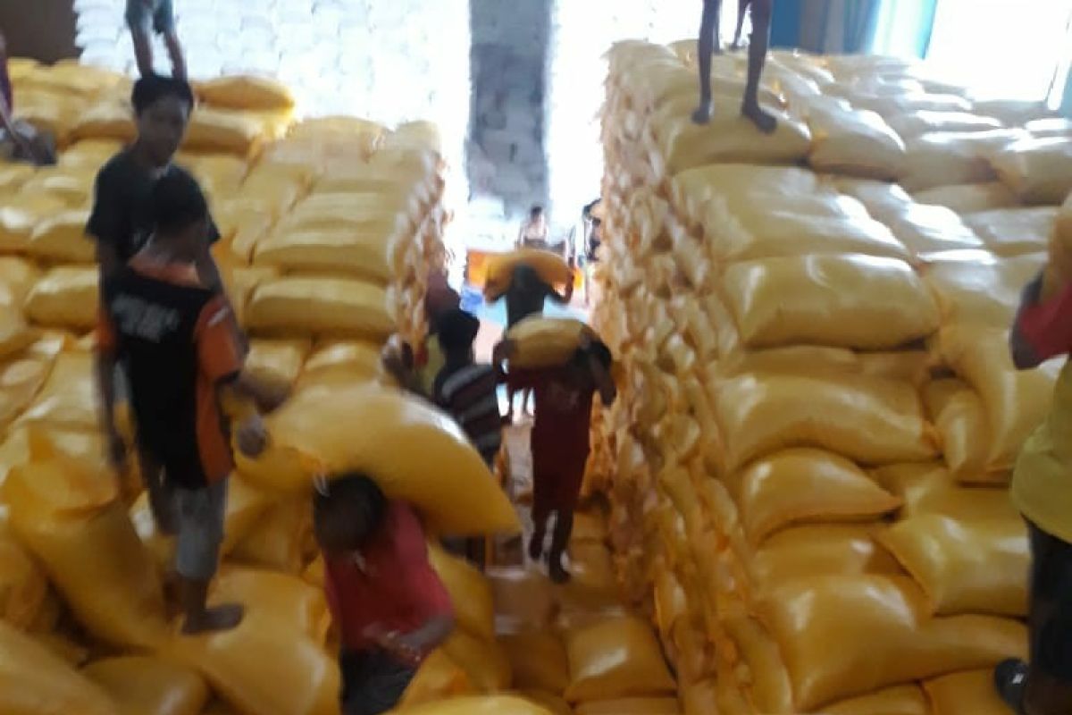 Januari-Agustus, Bulog Sultra serap 17.600 ton beras petani