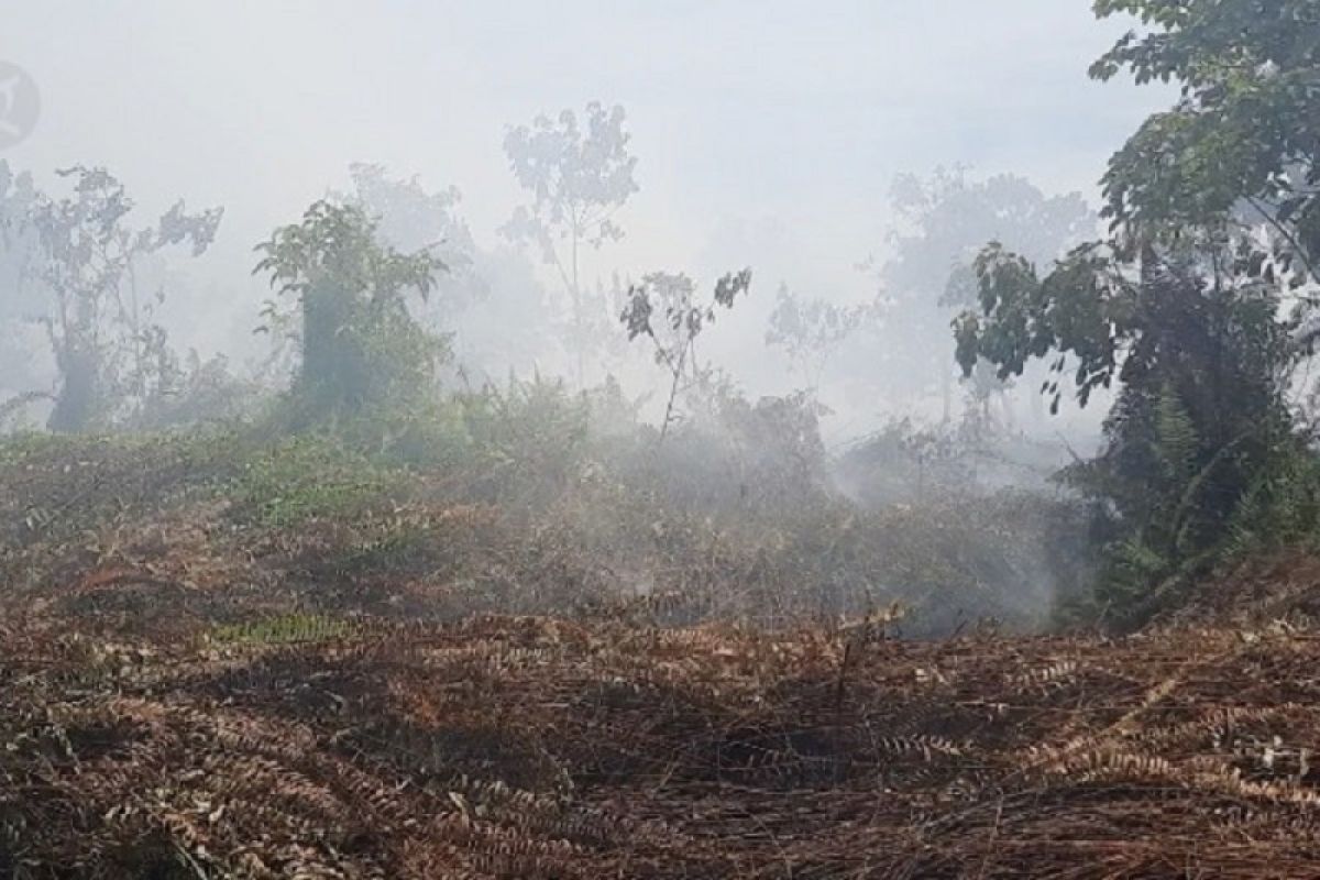 Akademisi ingatkan buka lahan dengan cara membakar miliki risiko tinggi