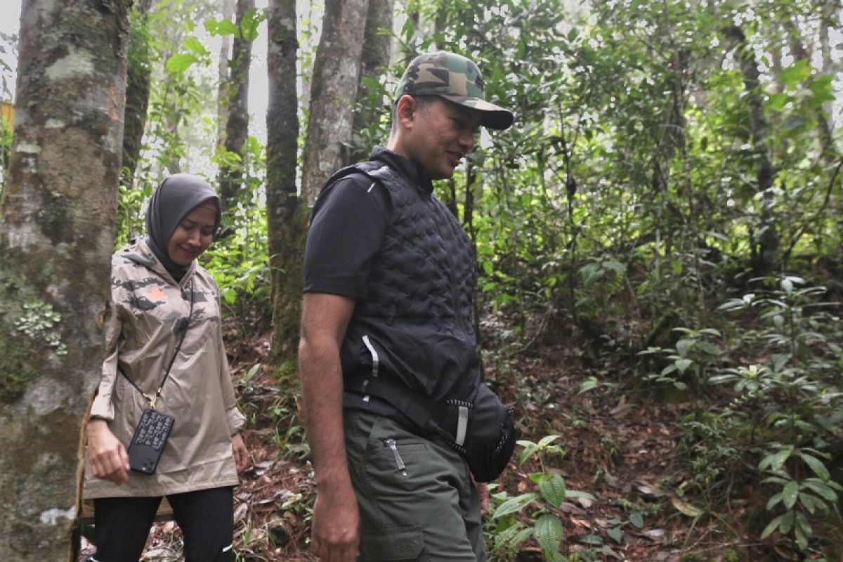 Yok.. jajal trekking di Wisata Ilmiah Aek Nauli Simalungun