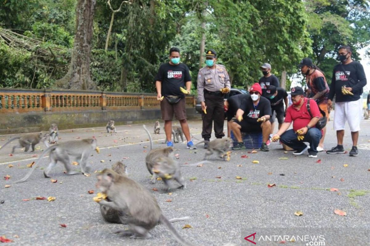 Wabup Tabanan coba wahana baru di Alas Kedaton