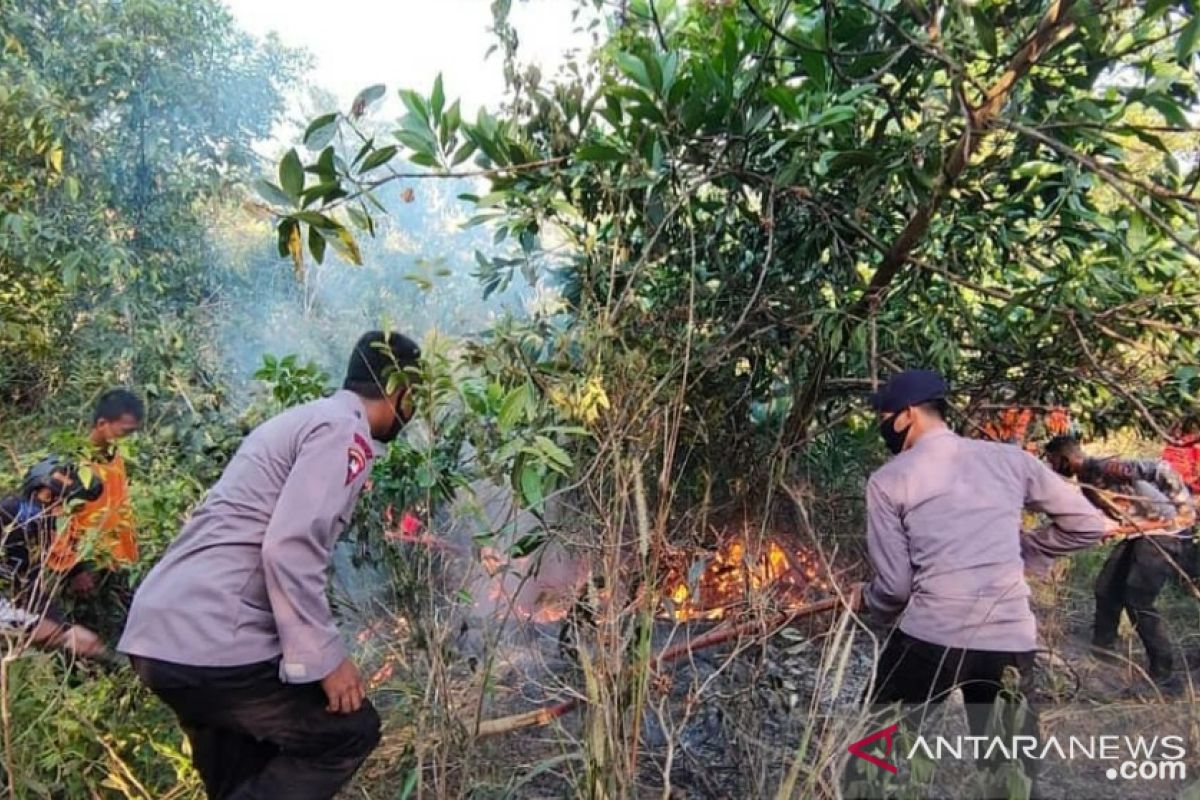 Aplikasi Bekantan  terima 4 laporan karhutla