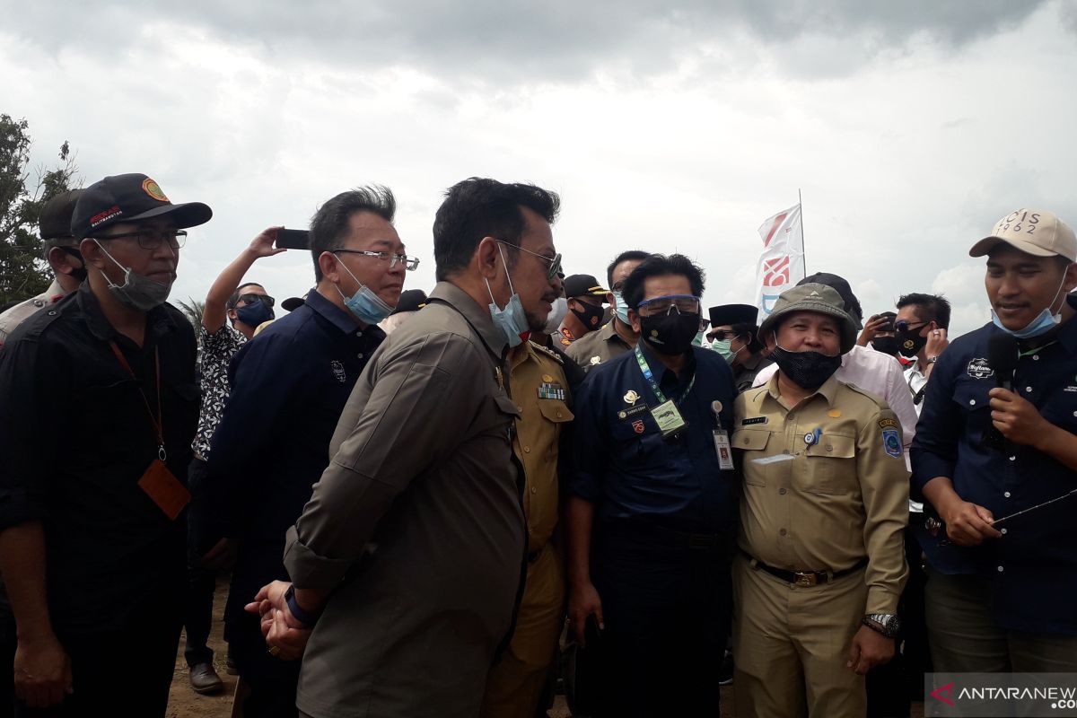 Mentan dorong pembangunan pabrik nanas di Bangka Belitung