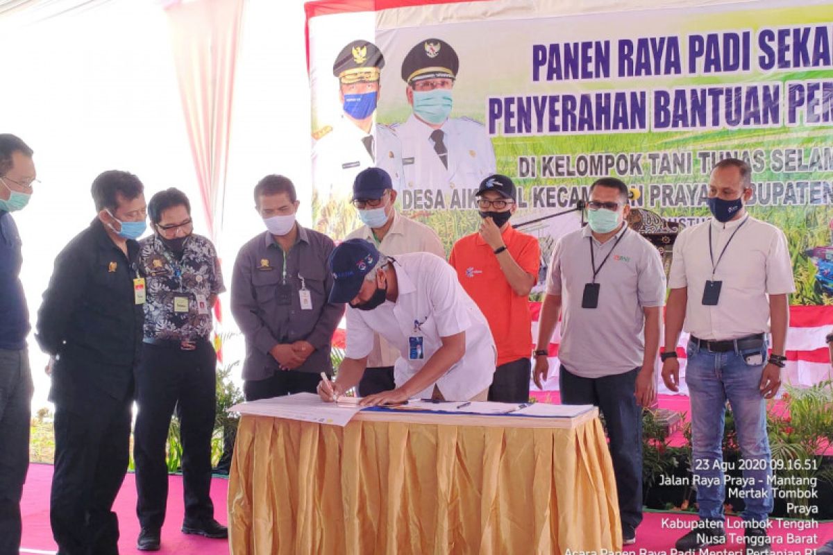 Pupuk Kaltim gagas Agro Solution, tingkatkan produktivitas padi