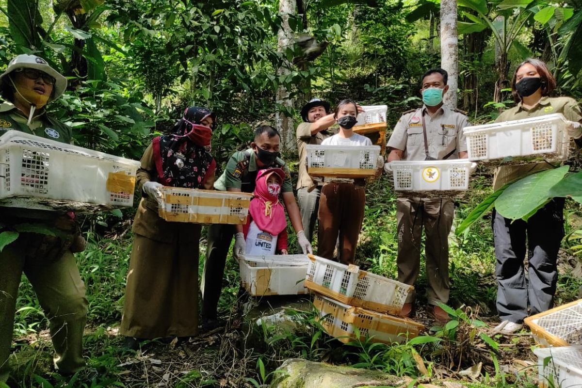 Penyelundupan 212 ekor burung ke Jawa Tengah kembali digagalkan