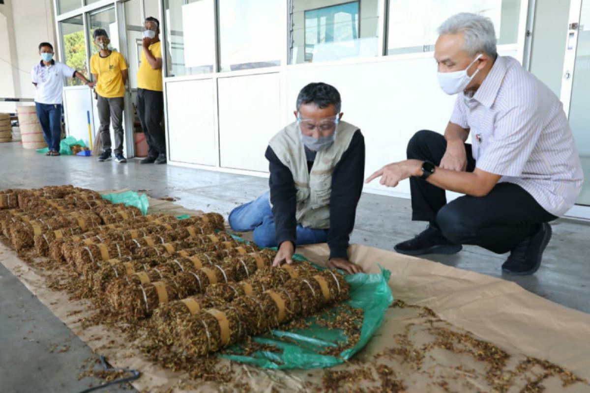 Gubernur pastikan pabrik rokok beli tembakau petani