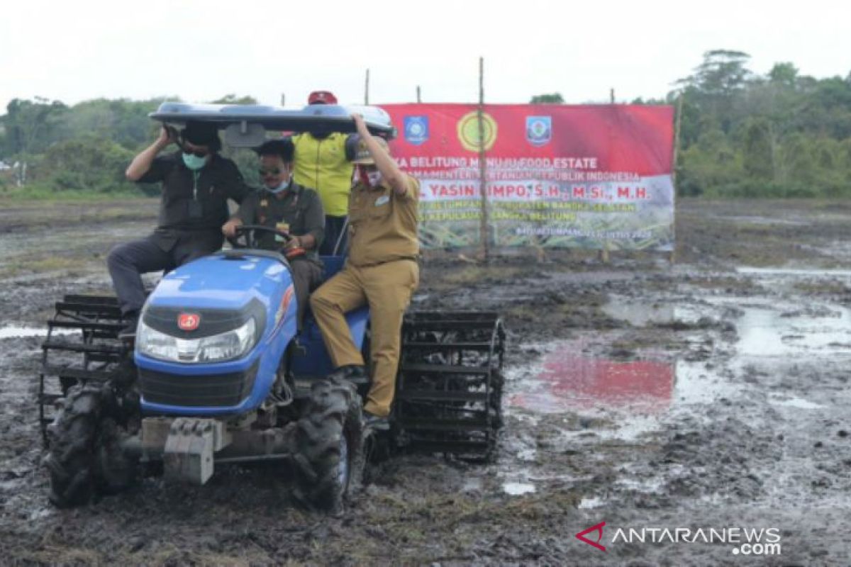 Menteri Pertanian RI tanam padi pertama di persawahan Desa Batu Betumpang