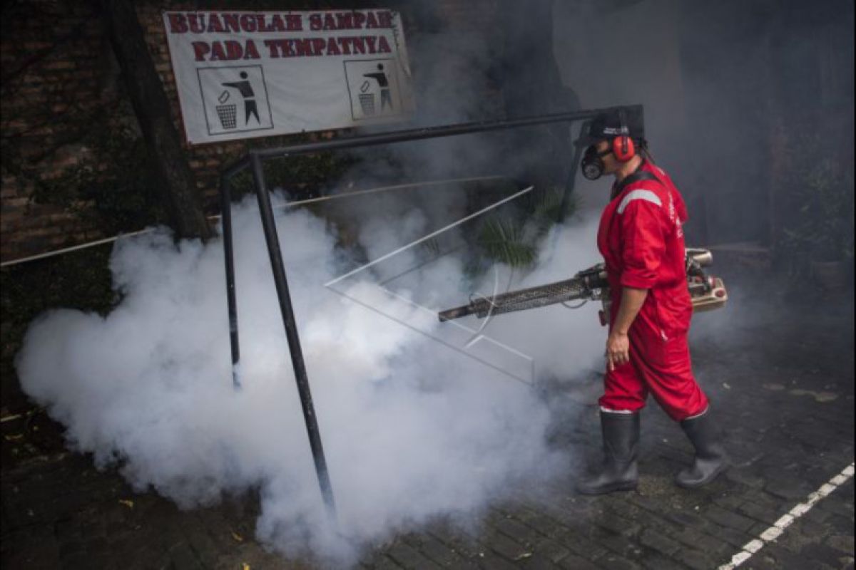 Tujuh warga Jakarta Utara terserang DBD