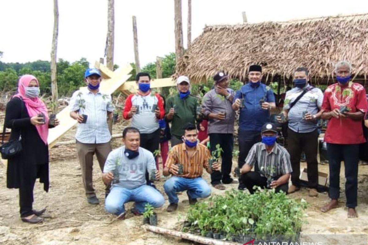 Anggota DPRA, Edi Kamal dorong petani kembangkan 20 Ha tanaman nilam di Aceh Jaya