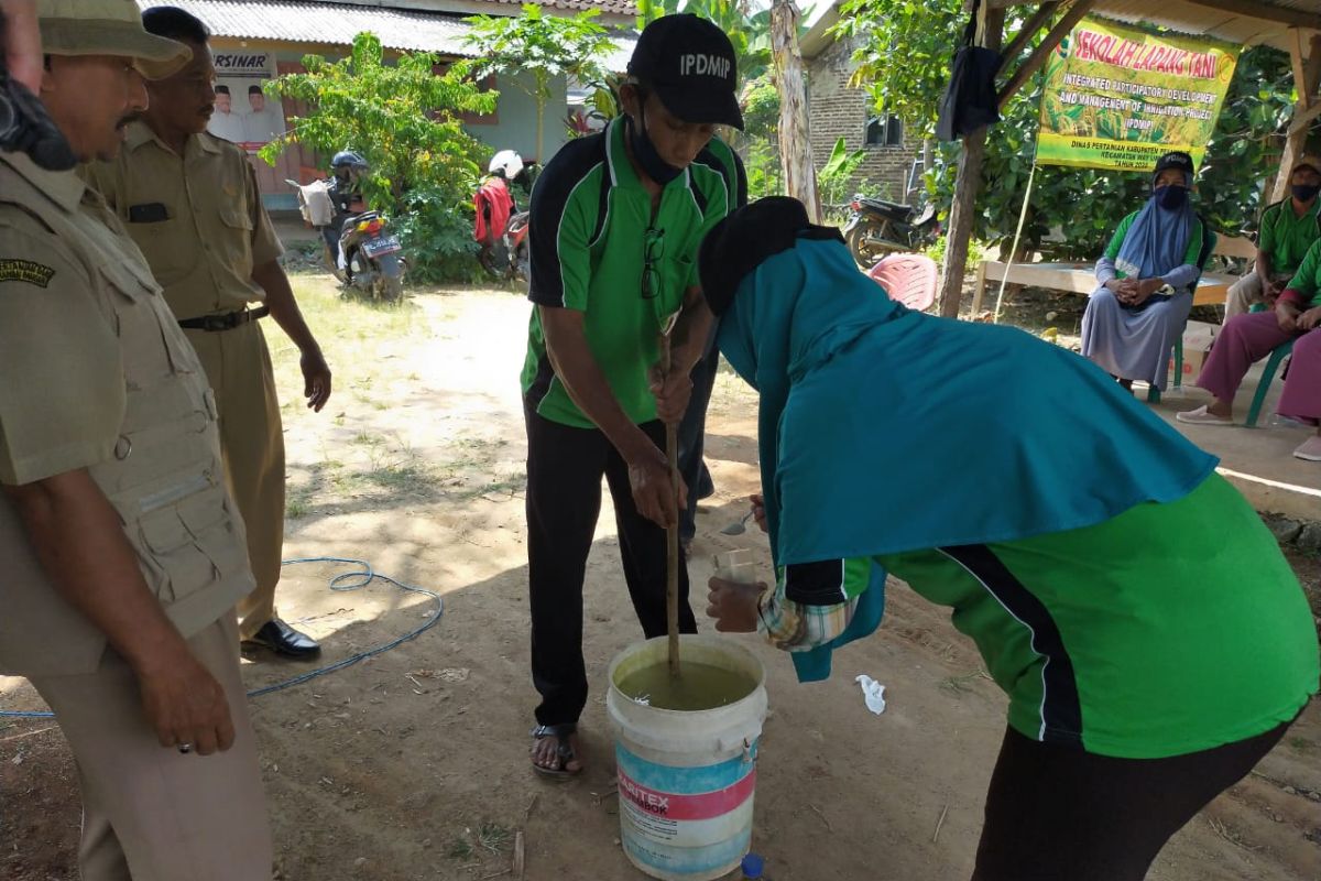 Peluang pasar pestisida nabati terbuka di Indonesia