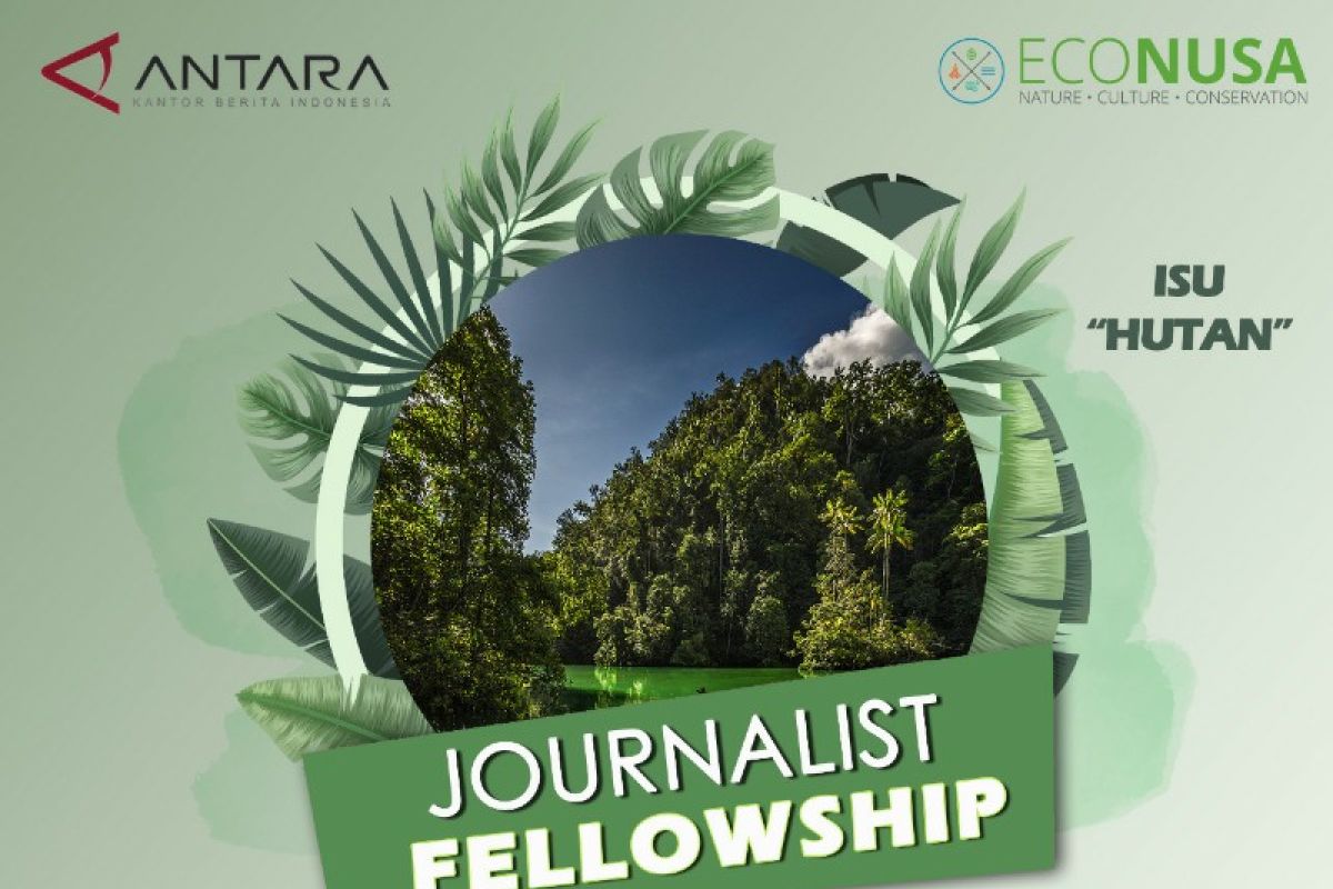 Yayasan EcoNusa meluncurkan program bantuan liputan isu hutan Papua