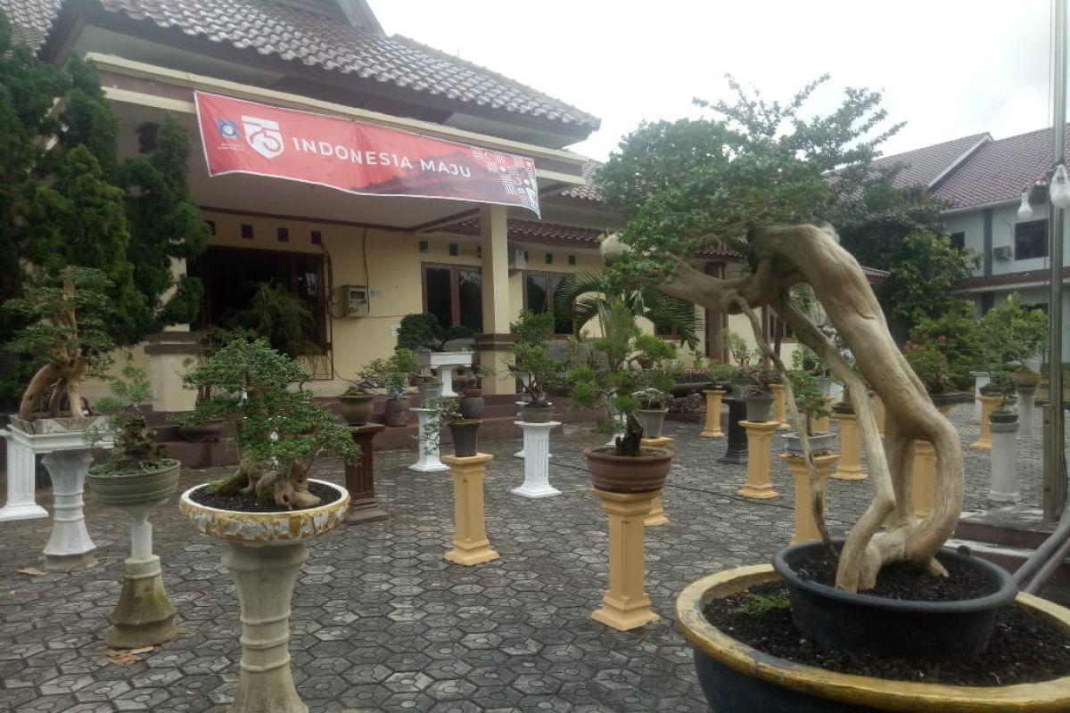 Pemkab Bangka Barat gelar pameran bonsai dorong pertumbuhan ekonomi kreatif