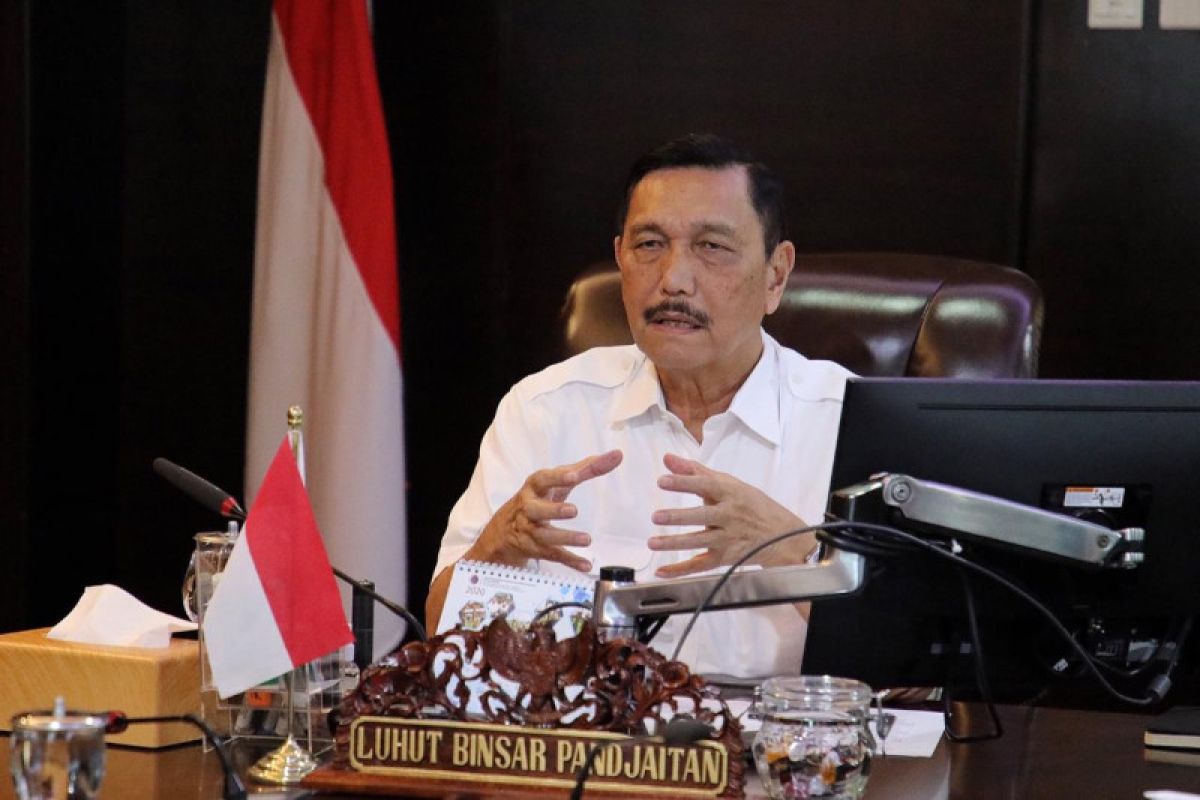 Luhut: Pandemi jadi cambuk untuk kembangkan industri dalam negeri