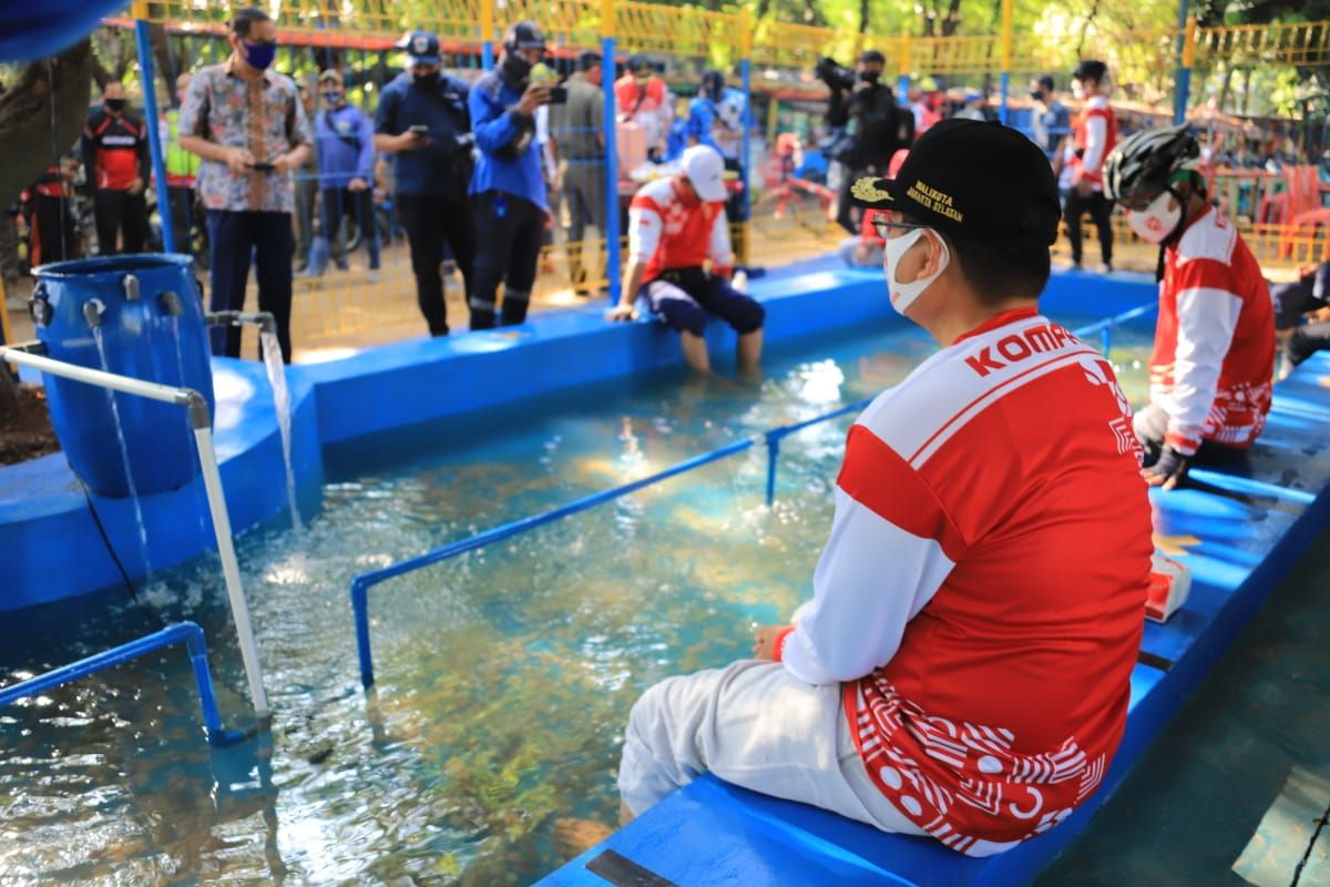 Sudin SDA Jaksel tebar 10.000 ikan terapi ke kolam di Setu Babakan