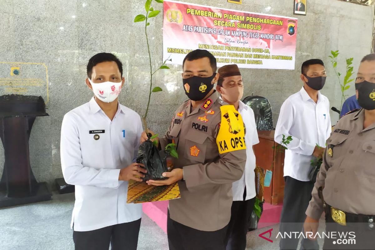 Polres Bangka bagikan 500 batang bibit cabai jawa