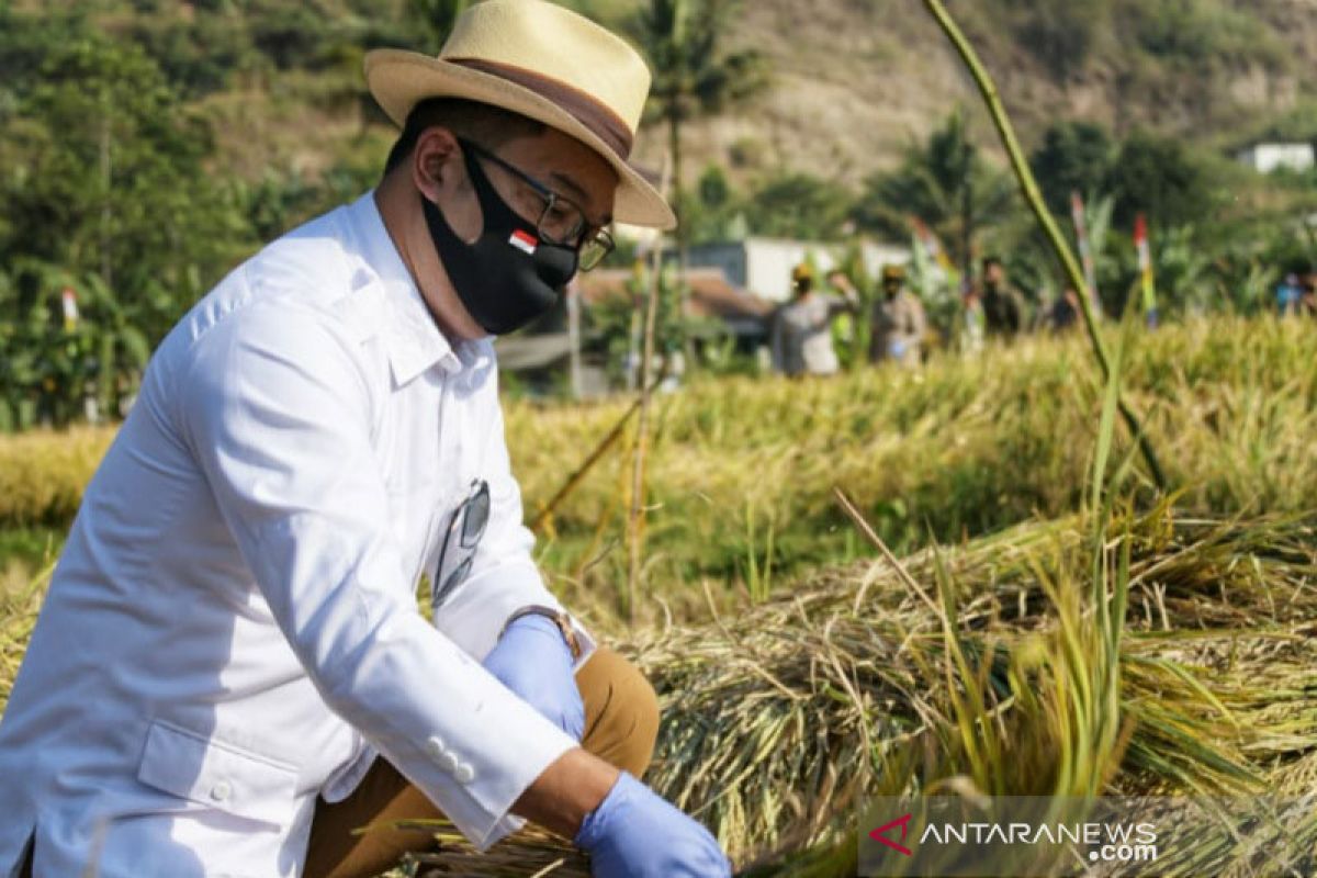 Ridwan Kamil: Metode jamu organik Biogro perkuat ketahanan pangan