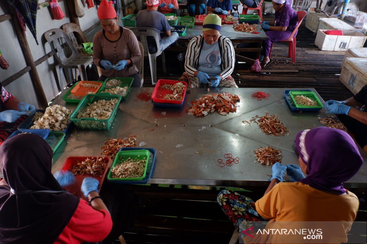 Kepri usulkan 16 ribu pelaku UMKM peroleh bantuan Rp2,4 juta