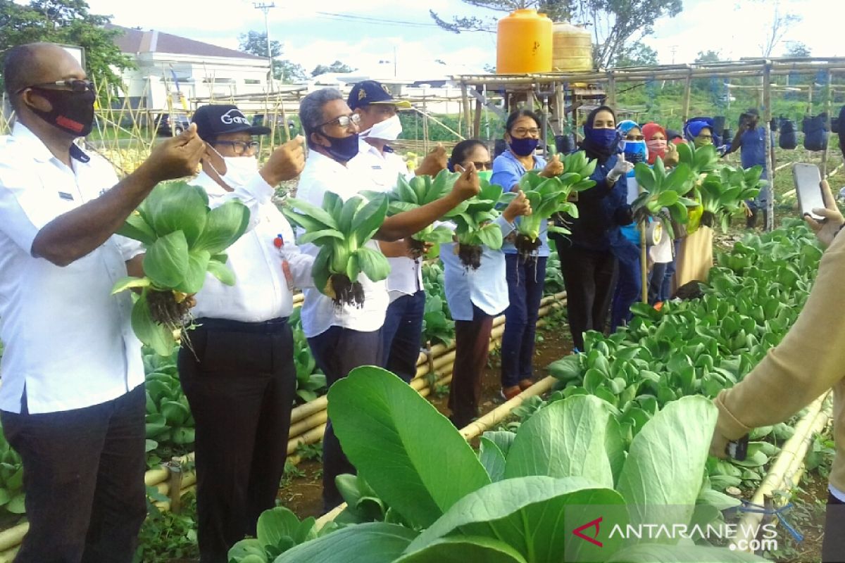 Ketua PKK Malra : Hasil kebun 