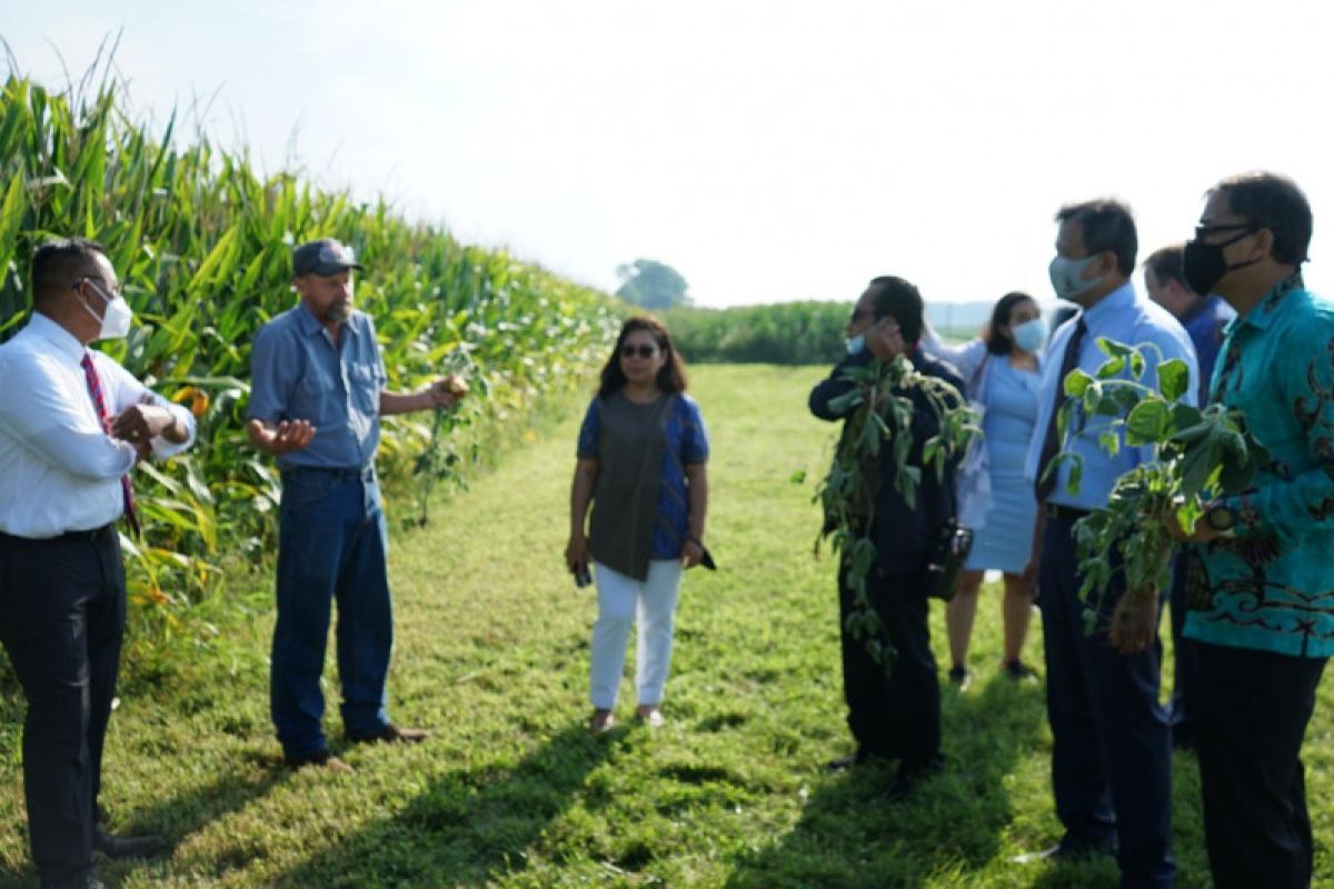 Indonesian diaspora to build tempe factory in Indiana, the US