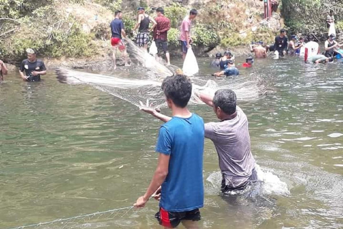 Dharmasraya miliki potensi pesar budidaya perikanan perairan umum, namun 70 persen terancam populasinya