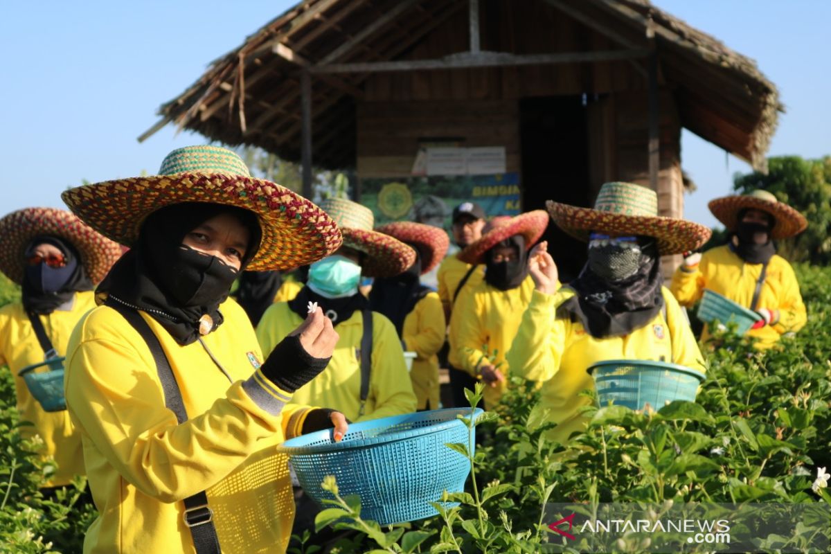 South Kalimantan Library helps flower farmers amid the pandemic