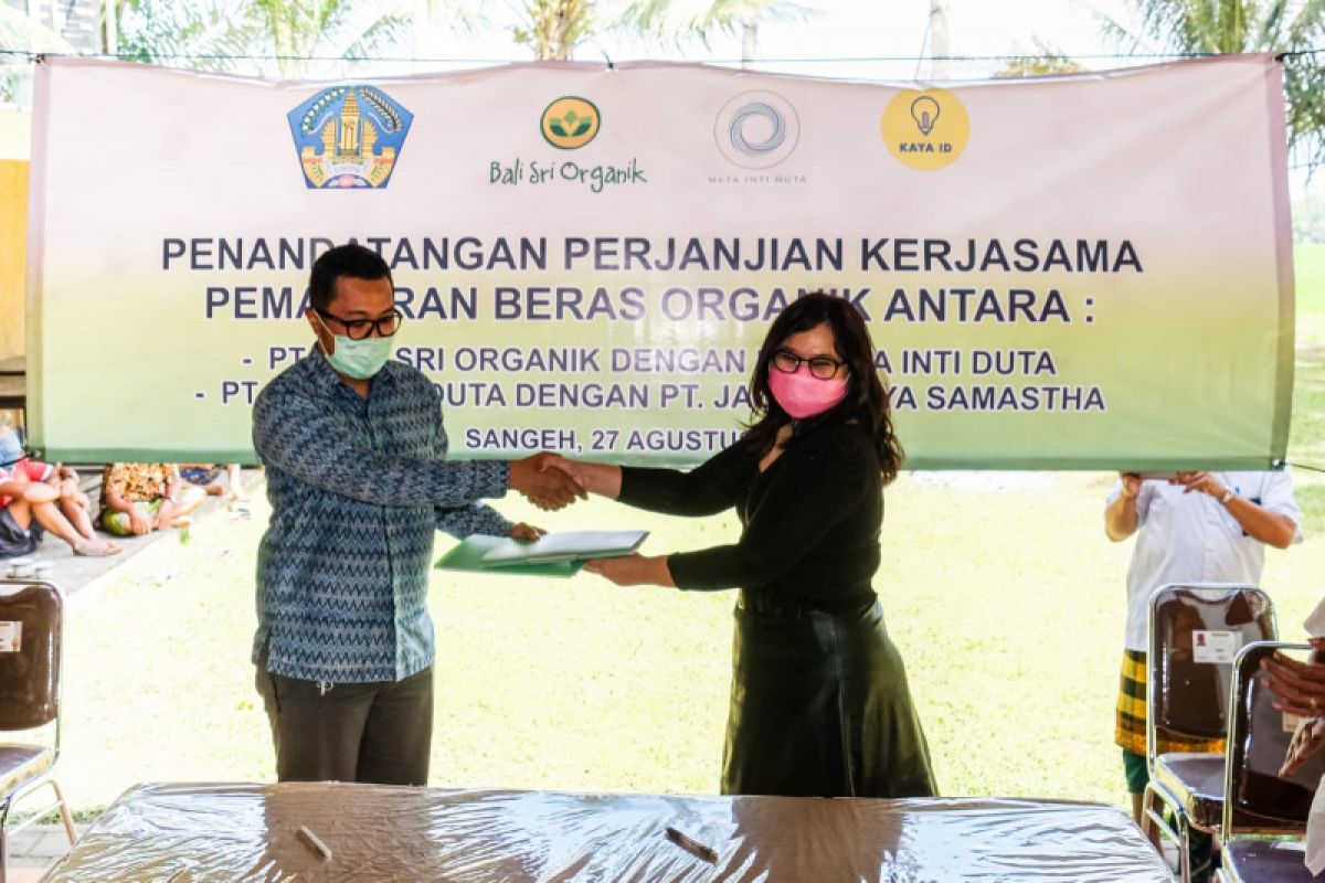 Meta Inti Duta berdayakan petani isi pasar pangan organik lokal