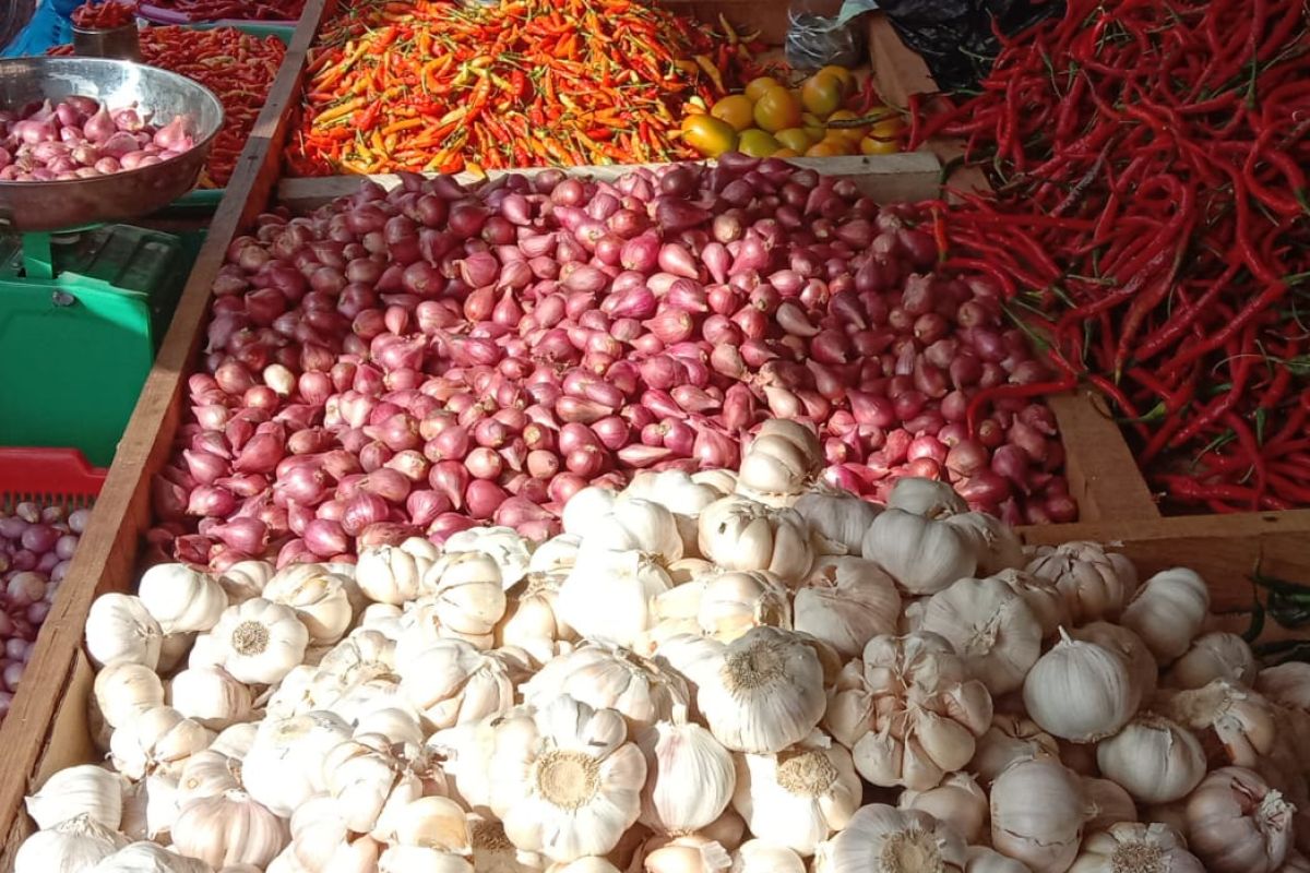 Harga bawang putih di pasar tradisional Ambon  naik