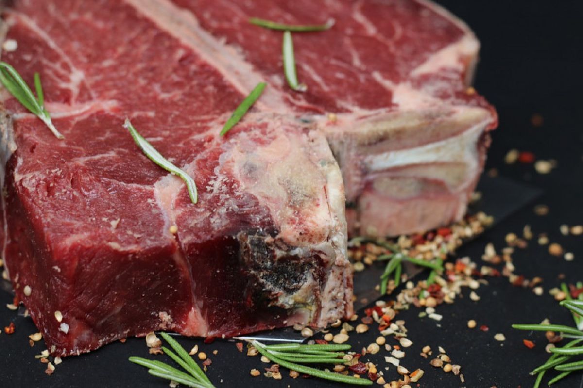 Konsumsi daging merah bisa meningkatkan imunitas tubuh
