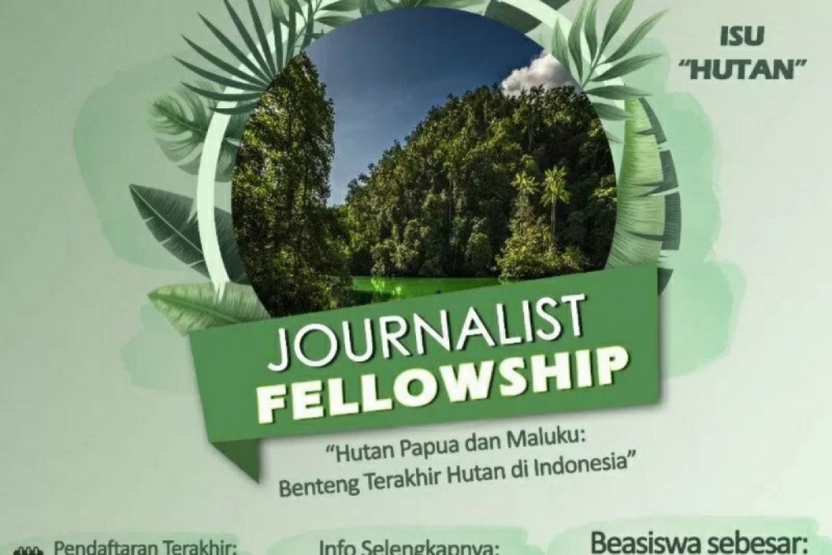 Program bantuan liputan isu hutan Papua dari Yayasan EcoNusa