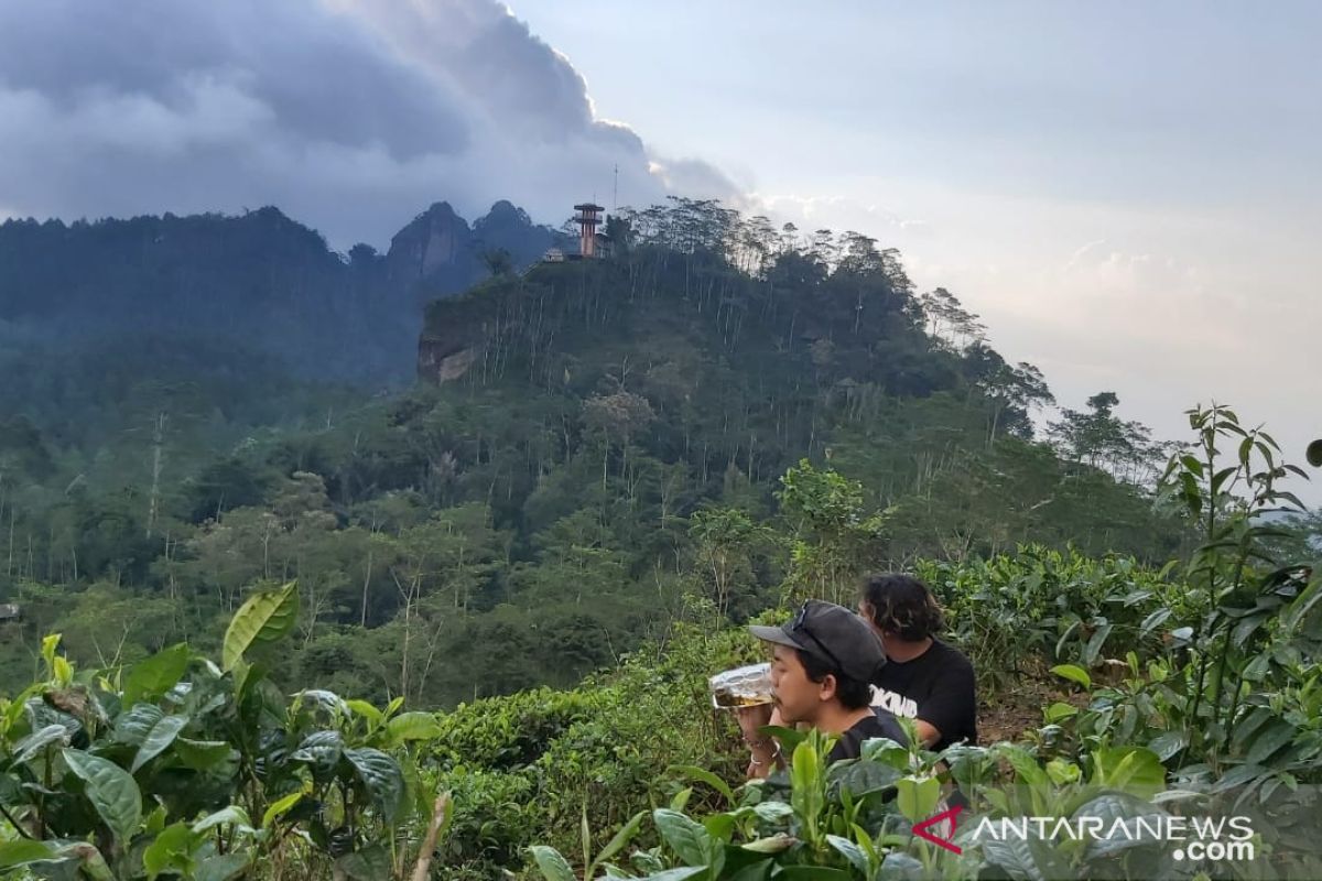 YIA tumbuhkan industri perhotelan dan restoran