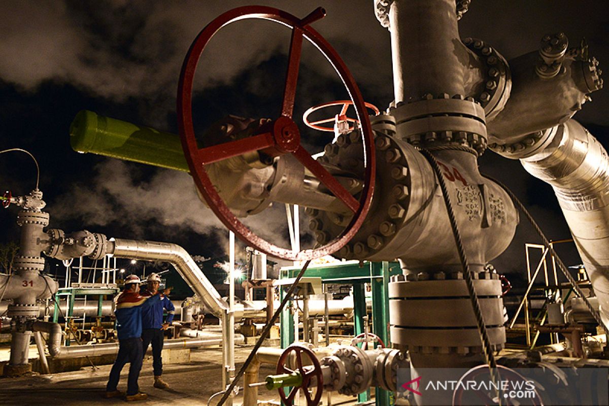 Pertamina seeks to promote multiple uses of geothermal energy