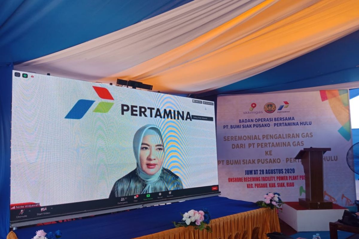 Pertagas alirkan gas ke pembangkit listrik Siak