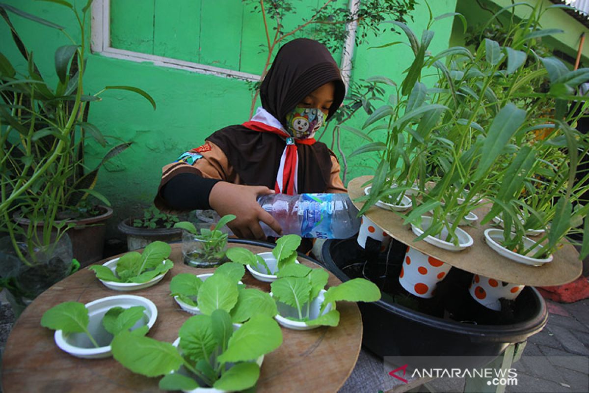 Pramuka buat pedoman program terkait perubahan iklim dan perdamaian