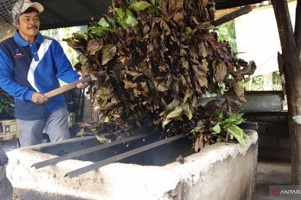 420 UMKM di Tanah Datar terima bantuan tunai langsung tahap satu