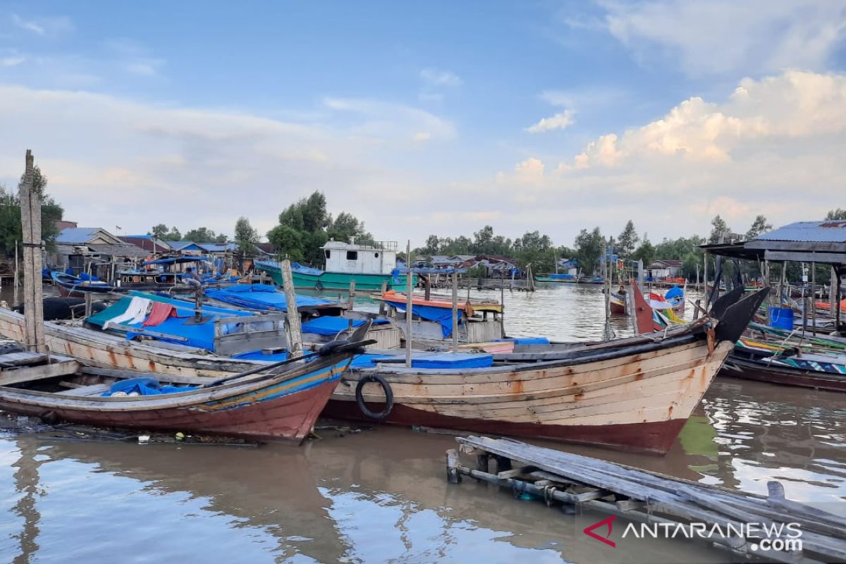 Harga jual udang ketak di Tanjabbar menurun drastis