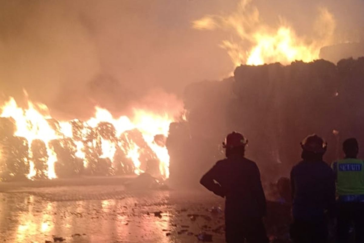 Penyimpanan karton Tjiwi Kimia di Sidoarjo terbakar