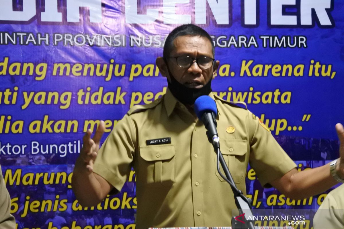 NTT kembangkan  jagung 40.000 haktare