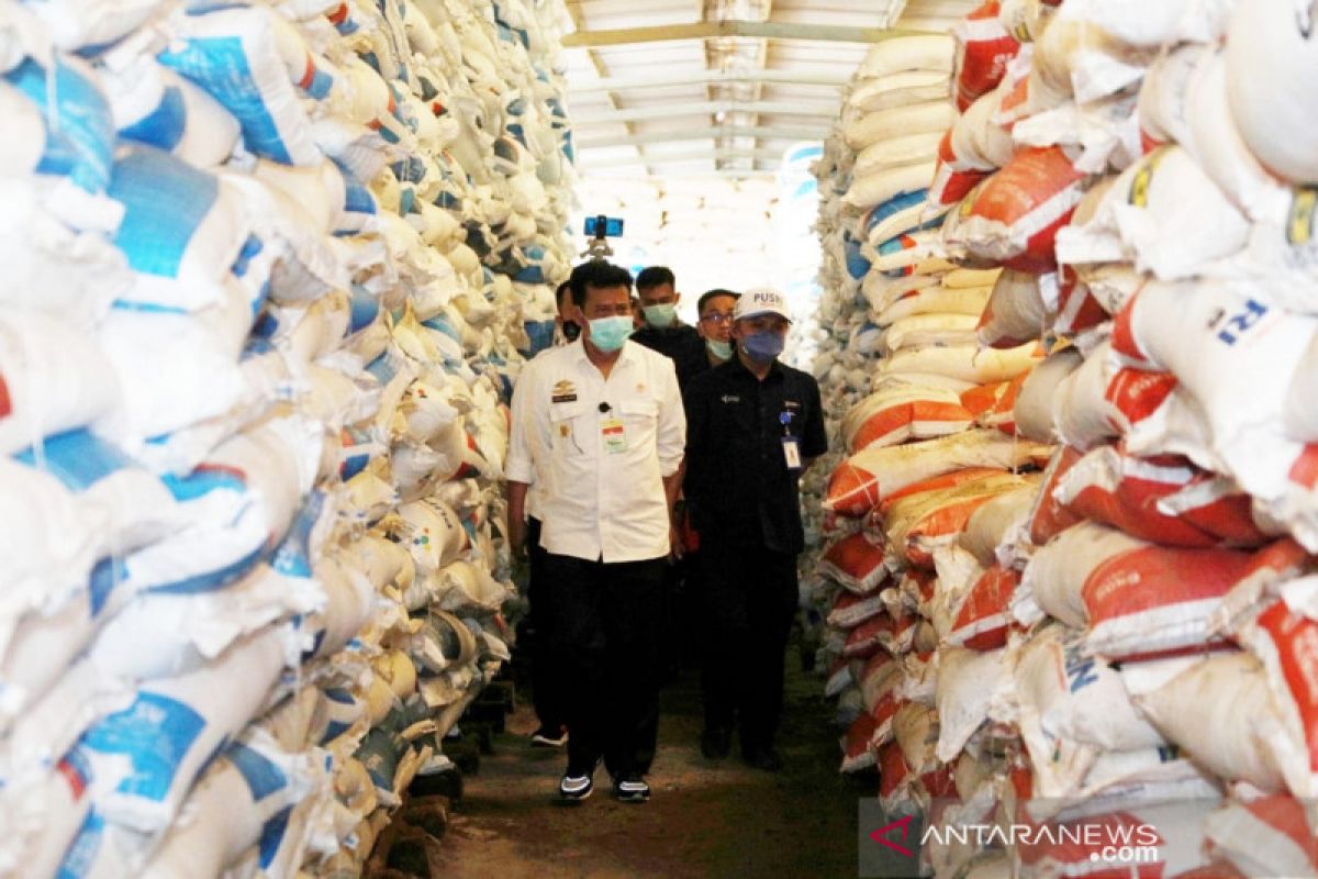 Minister ensures subsidized fertilizer sufficient for S Kalimantan farmers