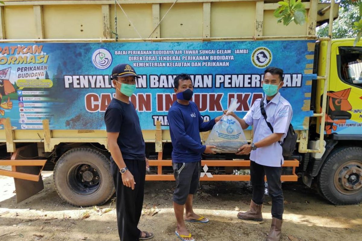 Pemkab Bangka Barat dorong kemandirian pelaku budi daya perikanan